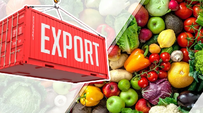 Экспорт продукции АПК из России в 2021 году вырос на 22%