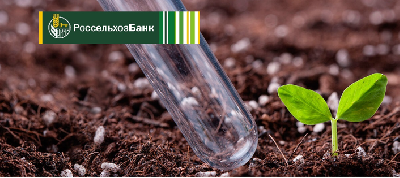 Цифровой сервис анализа почвы «Землевед» поможет фермерам увеличить урожайность