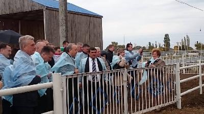 Губернатор отметил активное развитие животноводства в Ровенском районе