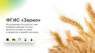 С начала работы ФГИС «Зерно» оформлены партии зерна объемом более 60 млн тонн