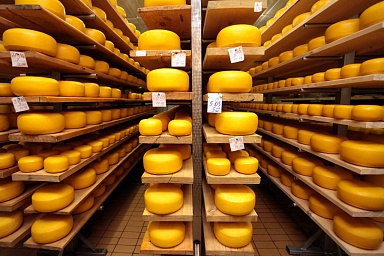 Инициативу по запрету сыроподобной продукции поддерживают и производители, и потребители