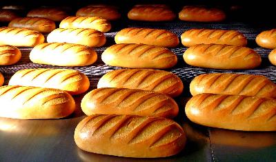 Дополнительные субсидии производителям хлеба и на поддержку льготного кредитования АПК выделило Правительство РФ