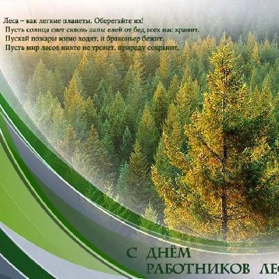 С Днем работников леса!