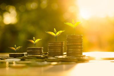 Регионы довели до получателей 38,5% федеральных субсидий
