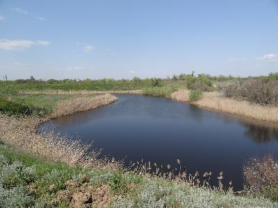 Набирают темп работы по закачке воды в пруды и водоемы засушливых районов Заволжья 
