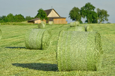 Аграрии региона приступили к заготовке сена