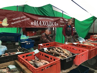 Во всех муниципальных районах области прошли сельскохозяйственные ярмарки