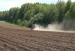 До завершения посевной в области осталось 124,8 тыс. га
