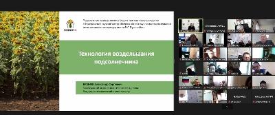 Специалисты Саратовского филиала Россельхозцентра приняли участие в видеоконференции «Перспективы выращивания отечественных гибридов подсолнечника»