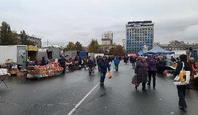 Более 7,5 тонн мяса и 2,8  тонн молока привезли фермеры региона на ярмарку на Театральной площади