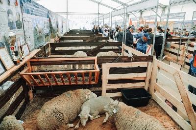 Животновод из Саратовской области отмечен Благодарностью Минсельхоза России 