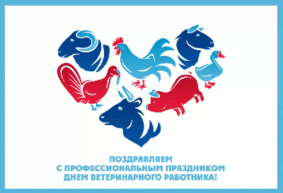 День ветеринарного работника. Поздравление заместителя Председателя Правительства области – министра сельского хозяйства области Романа Ковальского 