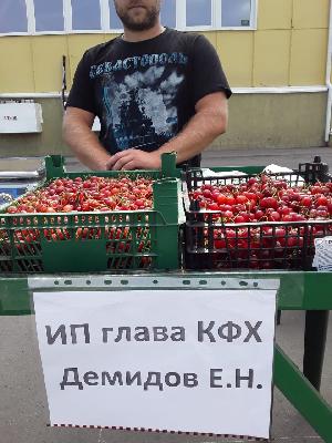 «Ярмарка местных товаропроизводителей» в п. Елшанка снизили цены на 50 видов продукции 