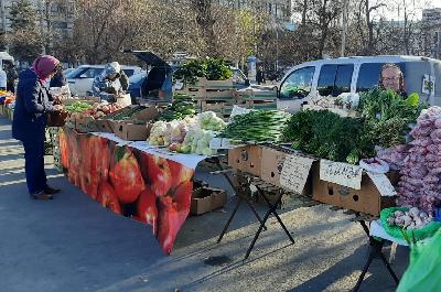 45 000 штук яиц привезли птицефабрики области на ярмарку на Театральную площадь