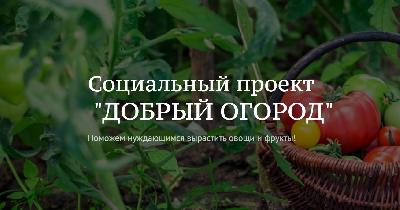 Саратовские агроволонтёры – в числе победителей акции #Добрый огород 