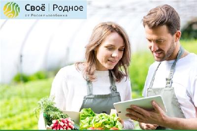 Саратовская область вошла в число регионов Приволжского федерального округа – лидеров по росту онлайн-продаж фермерской продукции 