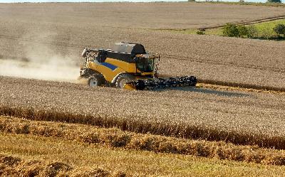 Кредитование сезонных полевых работ увеличилось на 23 %