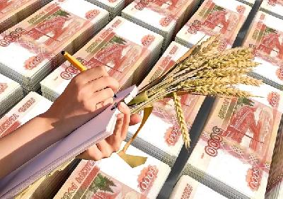 Производители зерновых культур региона смогут получить субсидии 