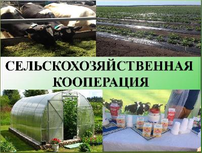 Завершился отбор участников грантовой  поддержки 
