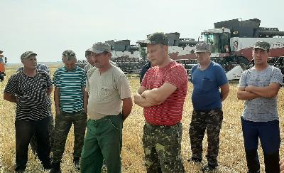 Намолот зерна в области подходит к отметке в 2 млн. тонн 