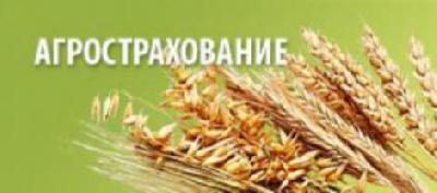 Информация по агрострахованию