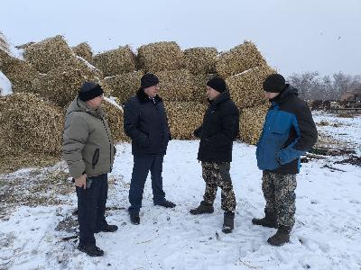 Заместитель министра сельского хозяйства с рабочим визитом посетил Энгельсский район