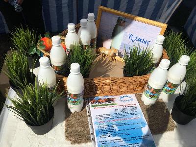 В Саратовской области начался сезон производства кумыса