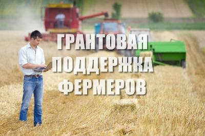 Минсельхоз области напоминает о приеме заявок на грант «Агростартап»