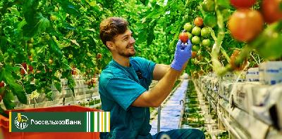 Саратовские фермеры наращивают свое присутствие на маркетплейсе Свое Родное