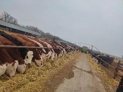 В Ровенском районе обсудили работу агропромышленного комплекса