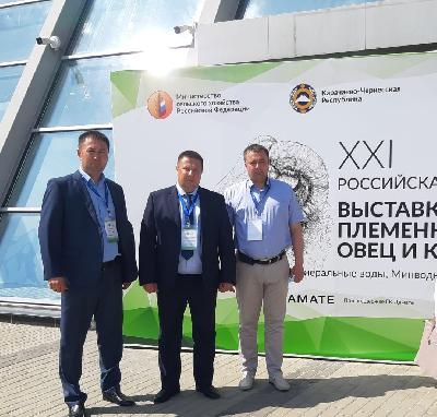 ЗАО «Красный партизан» Новоузенского района удостоено золотой и серебряной медалей XXI Российской выставки племенных овец и коз