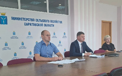 Василий Котов доложил Оксане Лут о ходе сезонных полевых работ в Саратовской области 