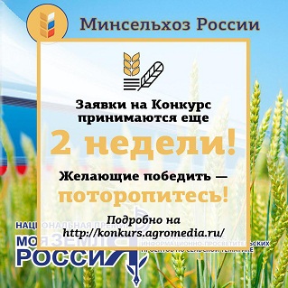 Национальная журналистская премия «Моя земля – Россия»: на оформление – две недели!