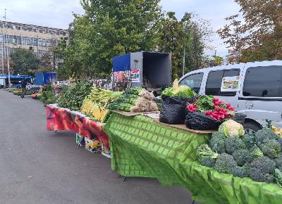 На Театральной площади пройдет сельскохозяйственная ярмарка выходного дня