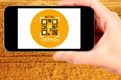 Внесение данных во ФГИС «Зерно» будет обязательным с 1 сентября