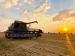 В области обмолочено 89% площадей зерновых и зернобобовых культур