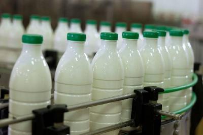 Проводится эксперимент по маркировке молочной продукции