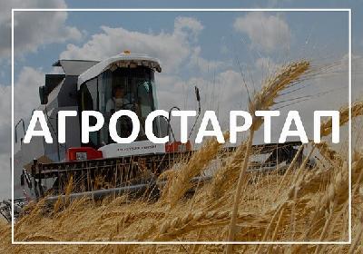Прием заявок на грант «Агростартап» начнется 15 февраля 