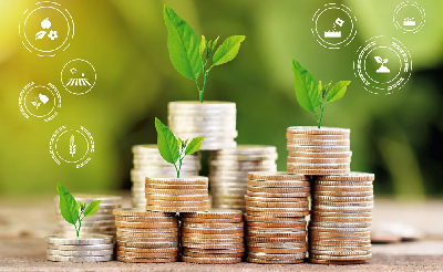 Регионы довели до получателей 47,9% федеральных субсидий
