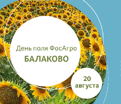 Руководители регионального минсельхоза приняли участие в Дне поля ФосАгро в Балаково