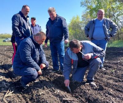 Роман Ковальский: в этом году ожидается увеличение посевных площадей под кукурузой 