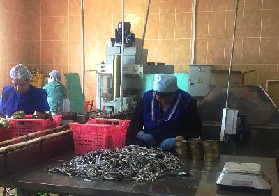 В Энгельсском районе выпускают рыбные консервы