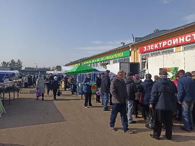 В Саратове прошли сельскохозяйственные ярмарки