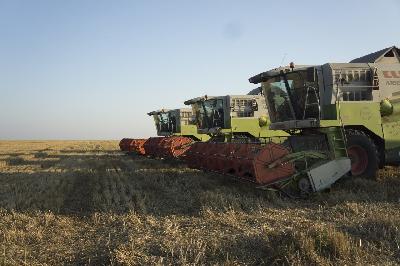 5,5 млн тонн зерна собрано в области