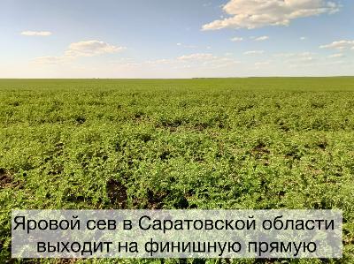 Яровой сев выходит на финишную прямую