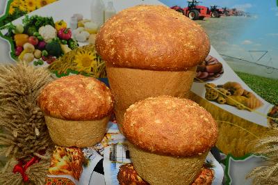 Где купить саратовский калач