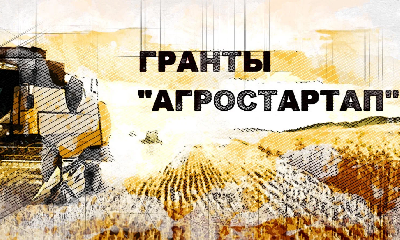 Продолжается реализация регионального проекта Саратовской области «Акселерация субъектов малого и среднего предпринимательства»
