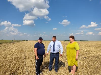 Роман Ковальский ознакомился с ходом уборочной кампании в Лысогорском районе