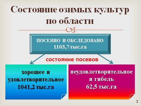слайд